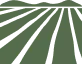 70 Acres of Farmland