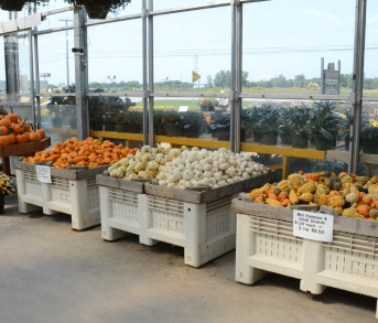 Fresh Produce Excellence