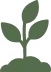 Plant (1)