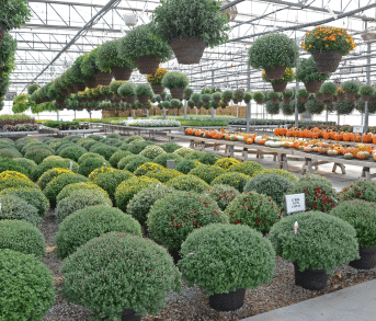 Quality Control
