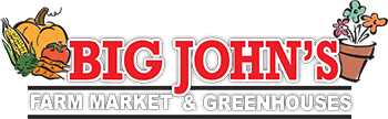 bigjohns logo