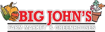 bigjohns logo