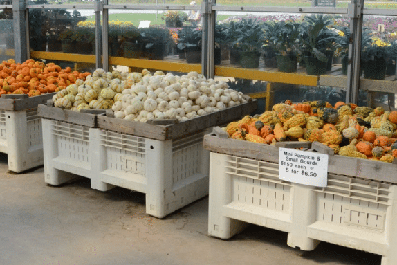 local produce