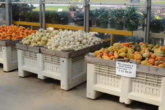 local produce