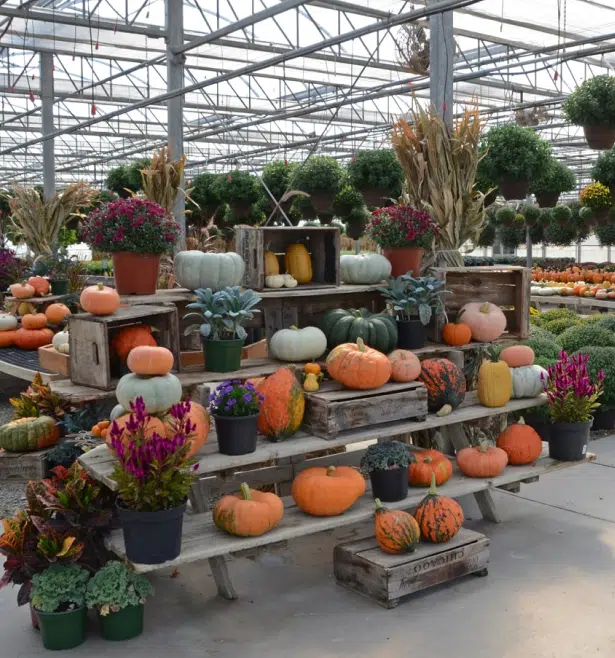 seasonal img