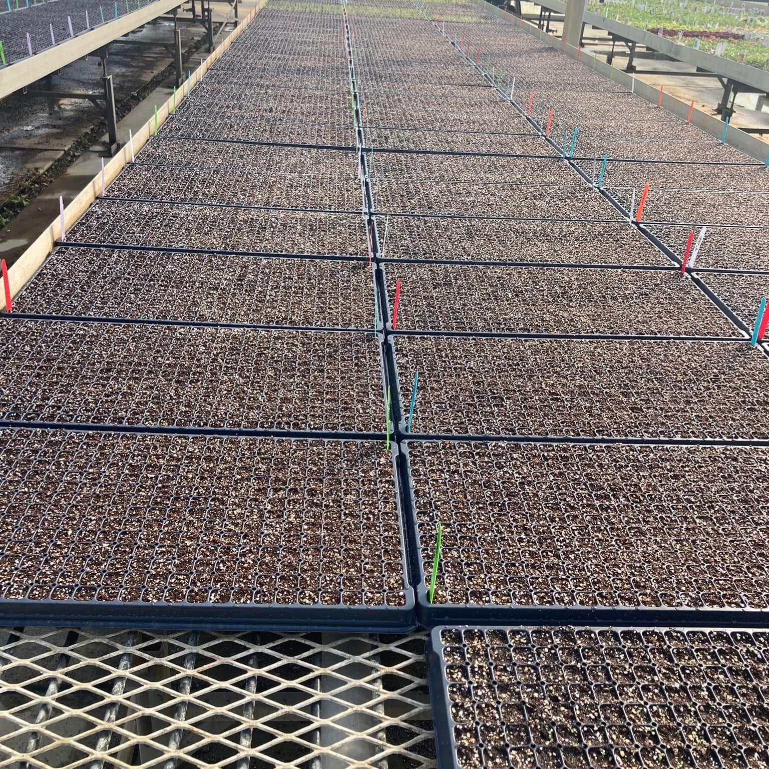 F7C9F6F6-CD65-4F13-A0B7-26023FB86213