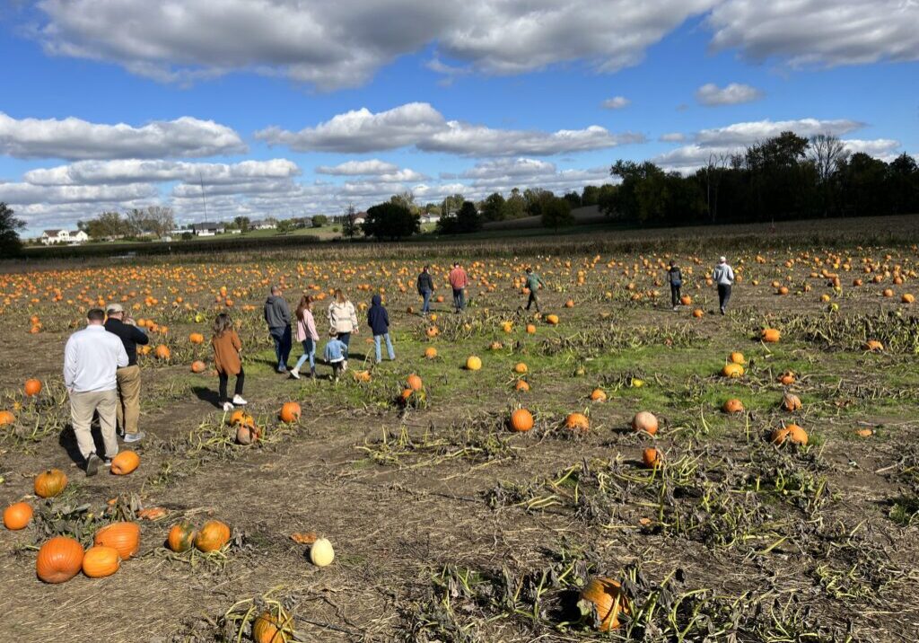 pumpkin patch23 (1) pumpkin patch23 (1)